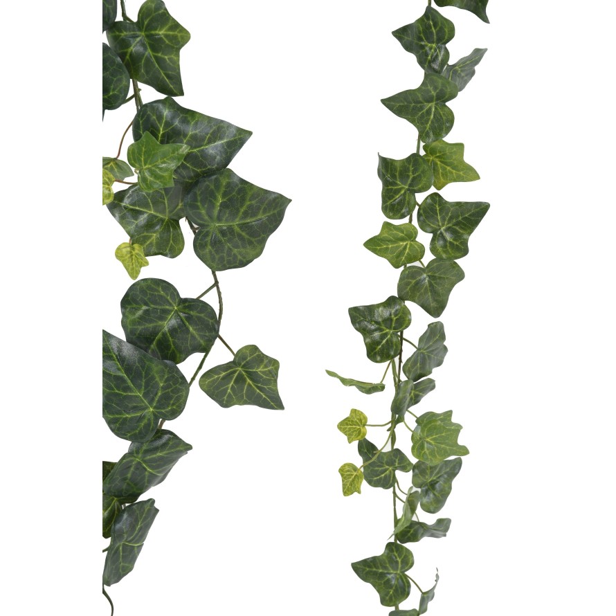 IVY GARLAND 180 (KIT OF 2: GF+PF)