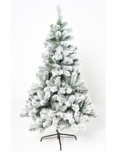 FIR SNOWY IMPERIAL