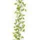 TRADESCANTIA GARLAND