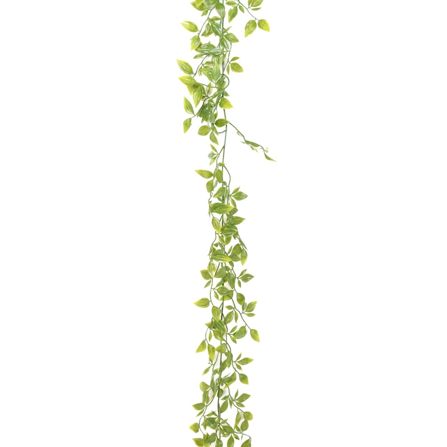 TRADESCANTIA GARLAND