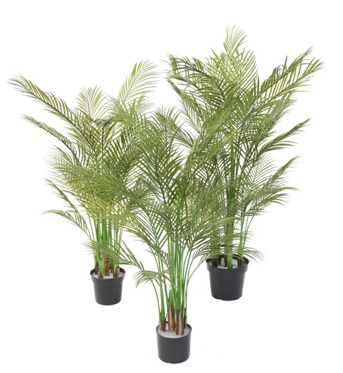 ARECA MULTI TREE