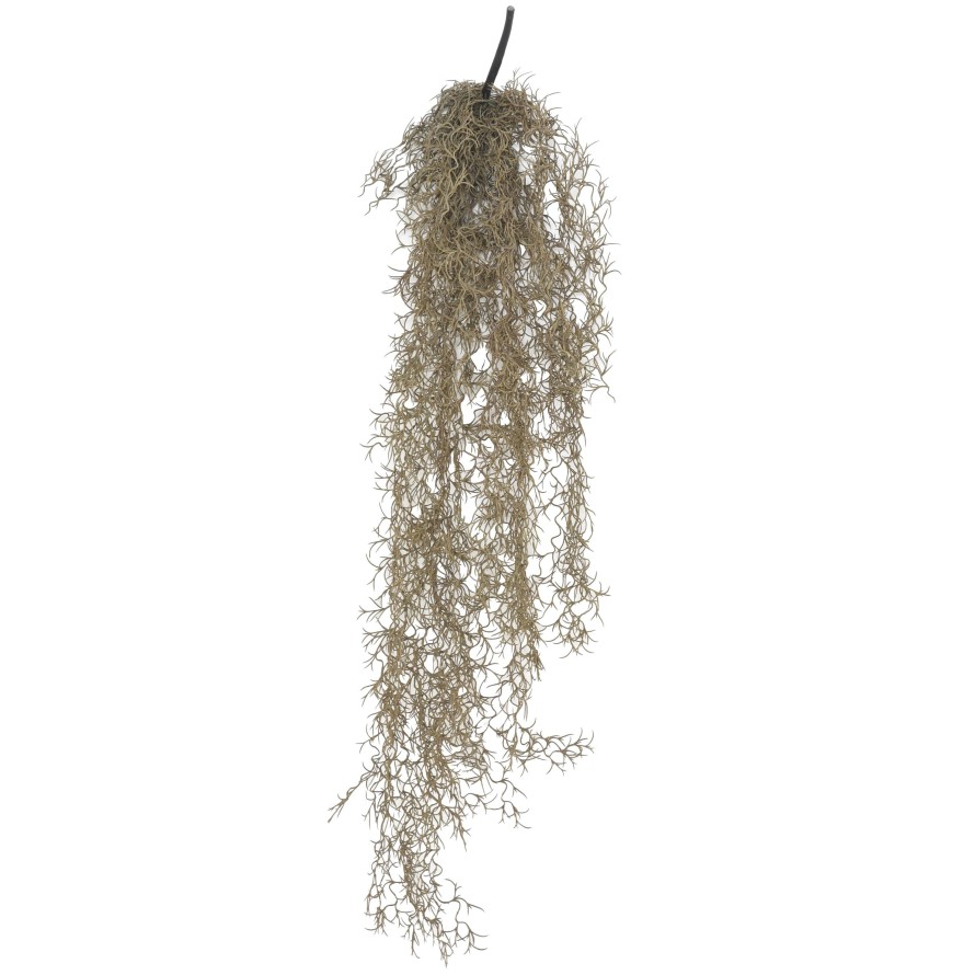 TILLANDSIA CHUTE  95