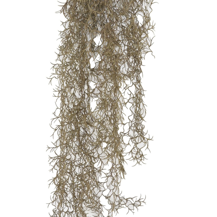 TILLANDSIA CHUTE  95