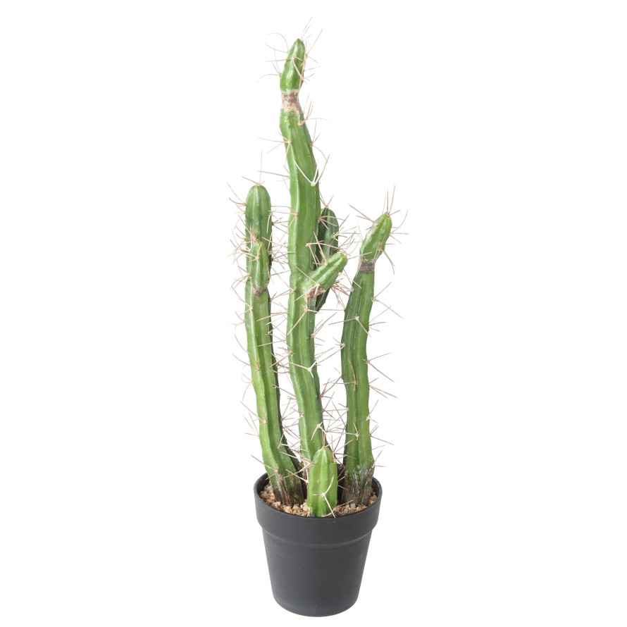 CACTUS FINGER F