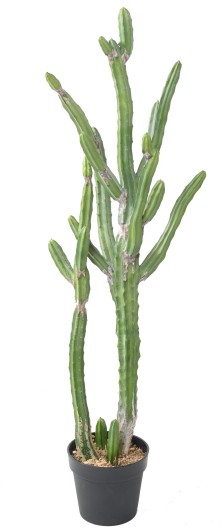 CACTUS FINGER L