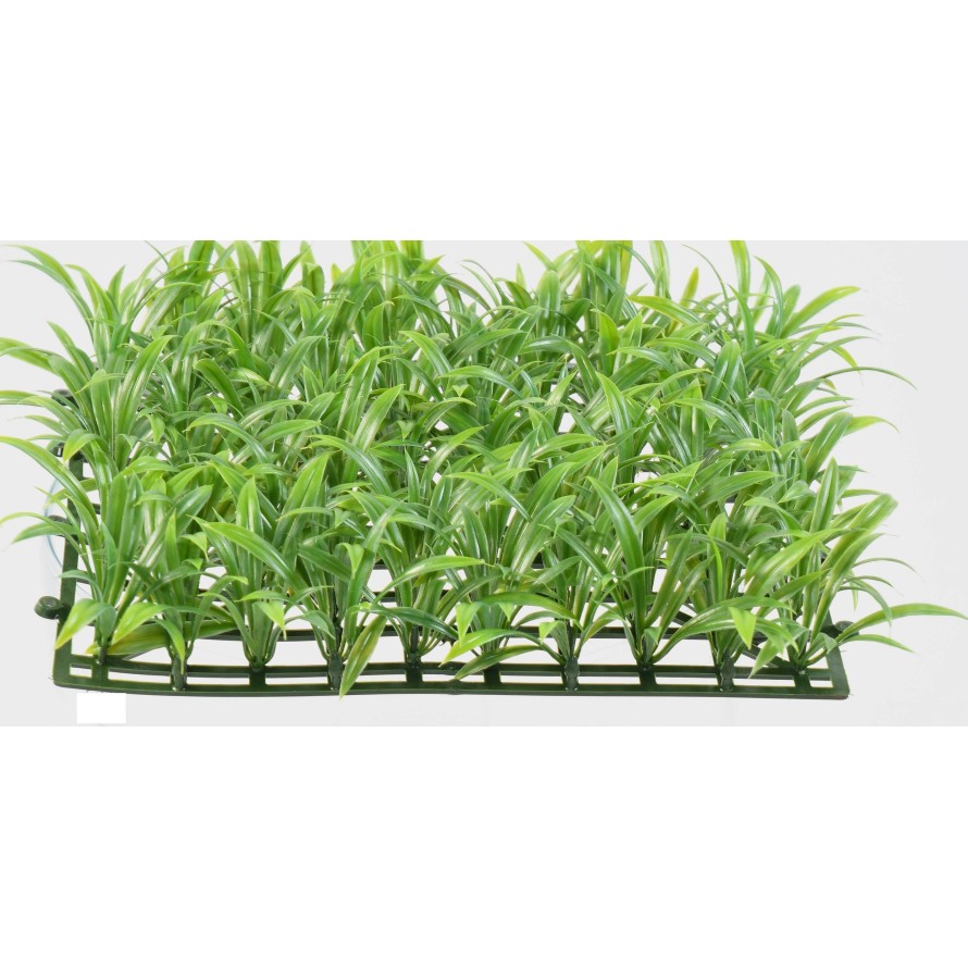 HERBE LARGE PLAQUE UV