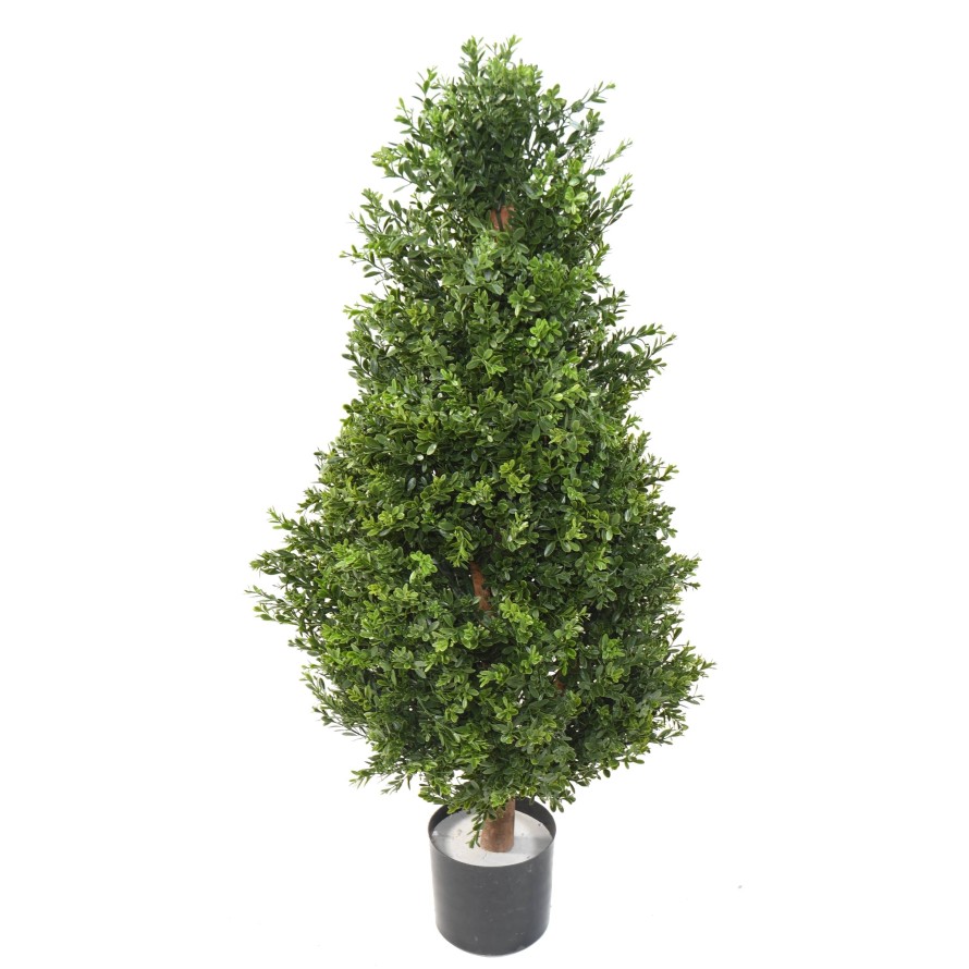 BOXWOOD RED DAY TOPIARY UV