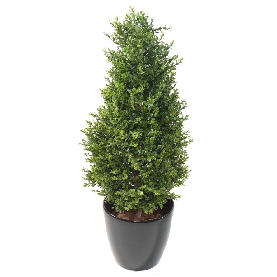 BOXWOOD RED DAY TOPIARY UV