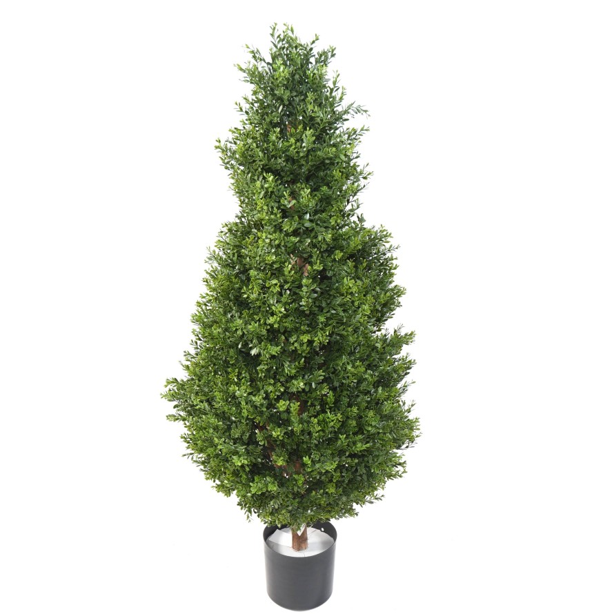 BOXWOOD RED DAY TOPIARY UV