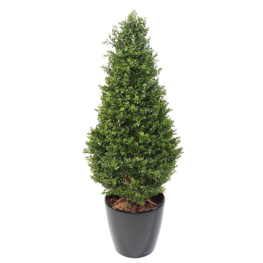 BOXWOOD RED DAY TOPIARY UV