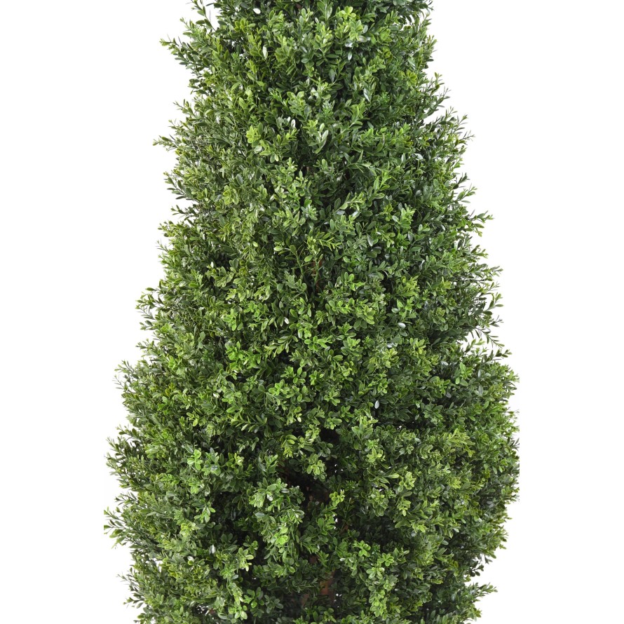 BOXWOOD RED DAY TOPIARY UV