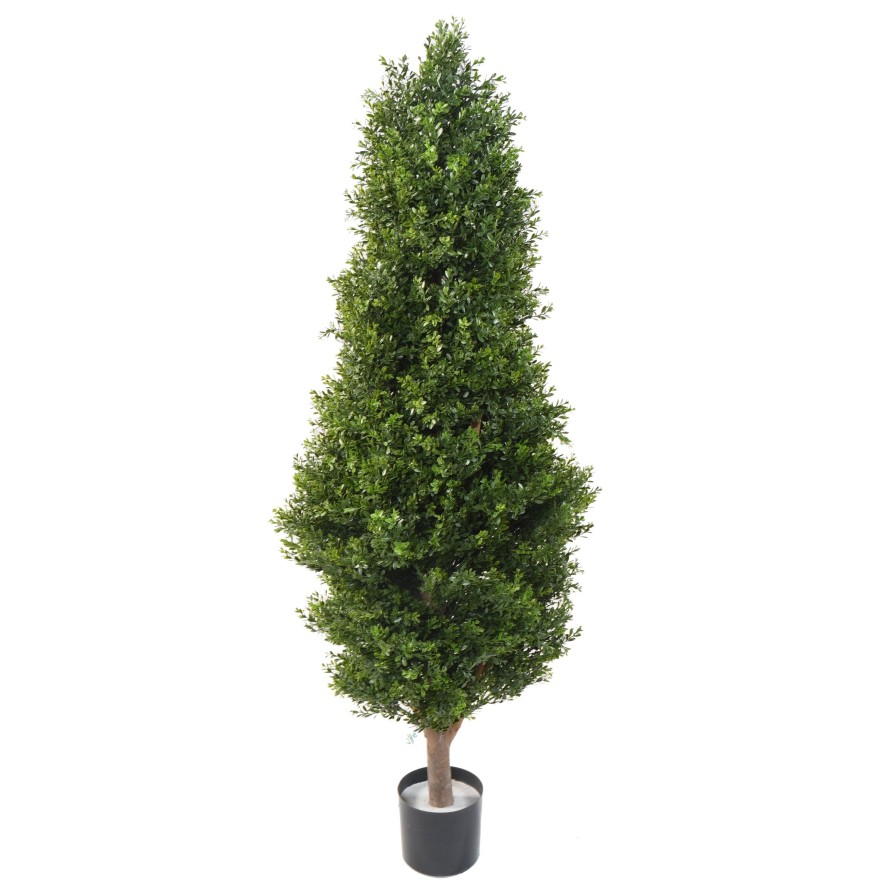 BOXWOOD RED DAY TOPIARY UV