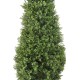 BOXWOOD RED DAY TOPIARY UV