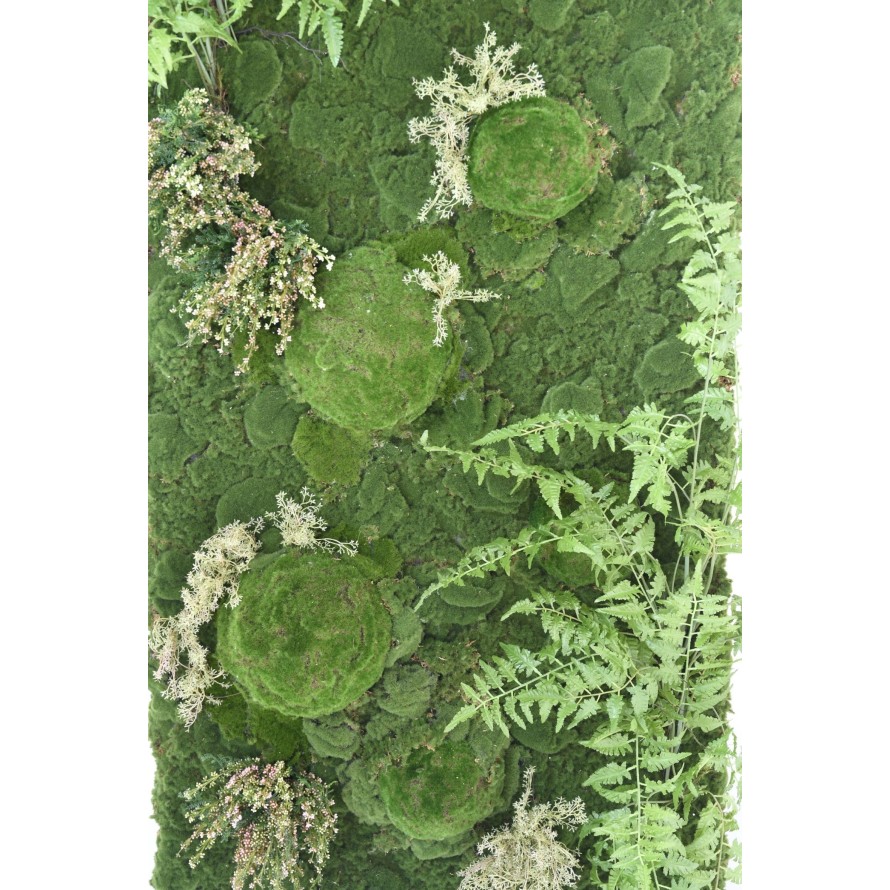 VEGETAL WALL FERN MOSS