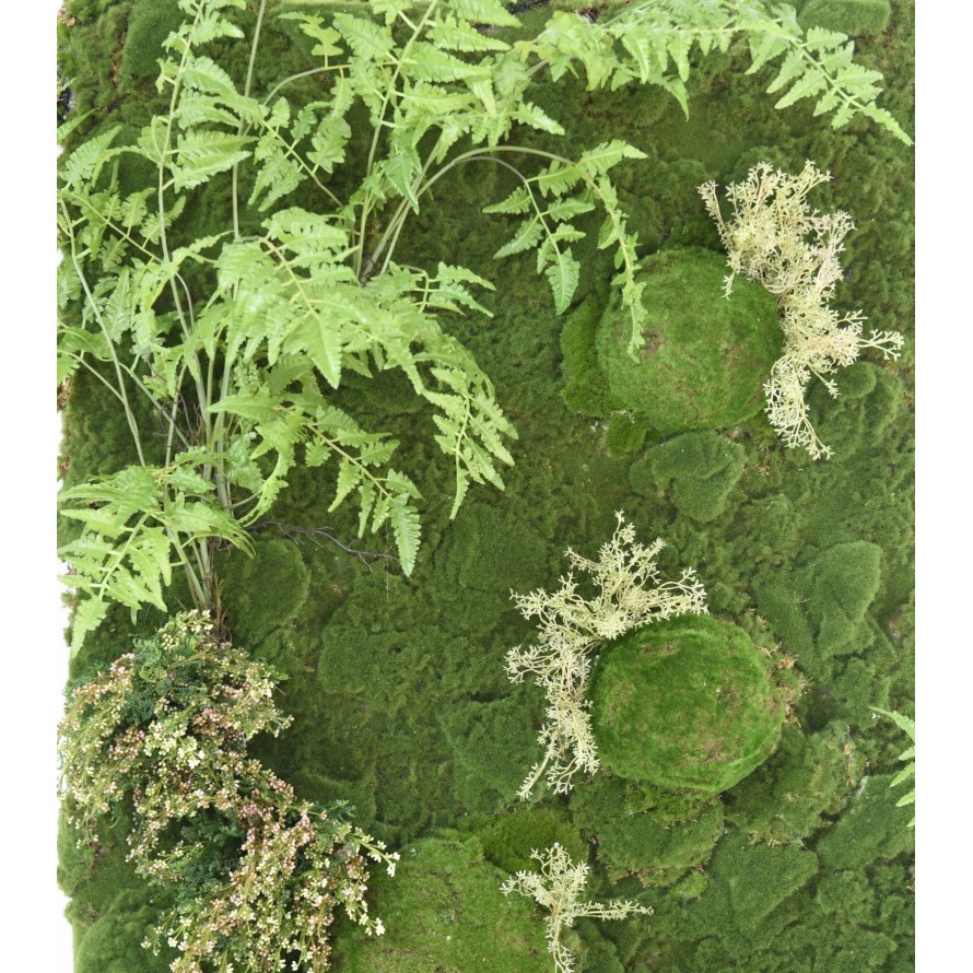 VEGETAL WALL FERN MOSS