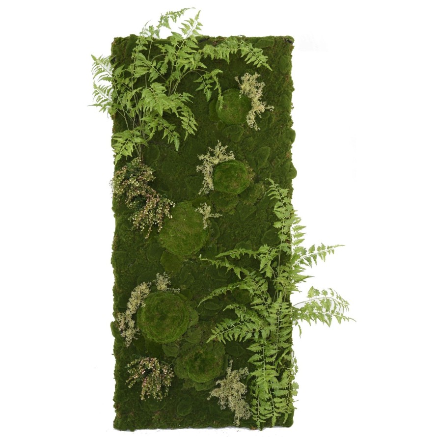 VEGETAL WALL FERN MOSS