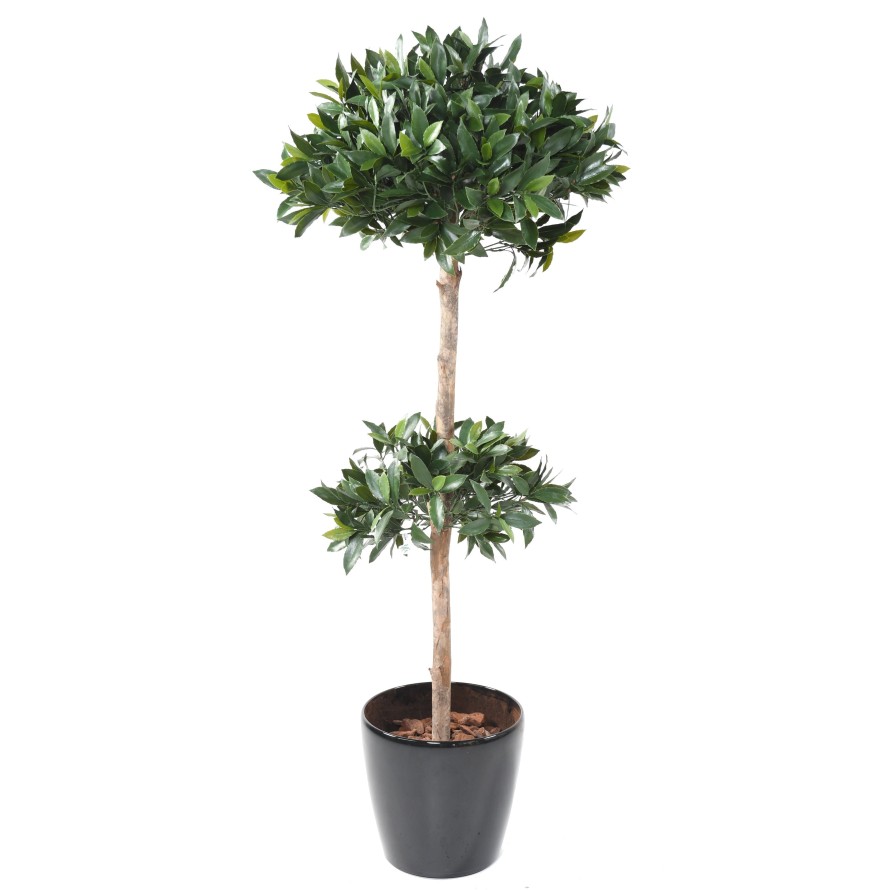 NOBILIS LAUREL DOUBLE BALL UV STEM