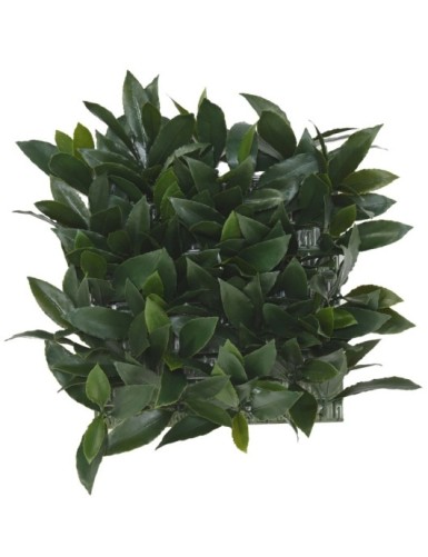 LAUREL NOBILIS UV GREEN WALL