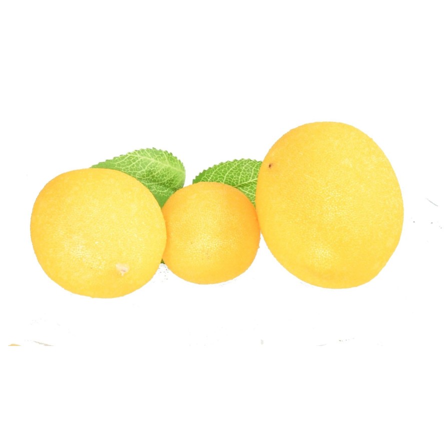 LEMONS, net of 6