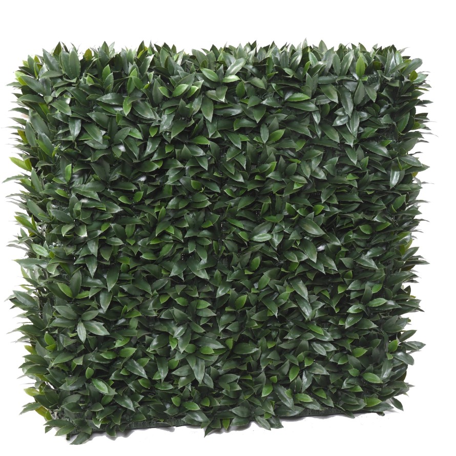 LAUREL NOBILIS HEDGE 110 UV (net promo)