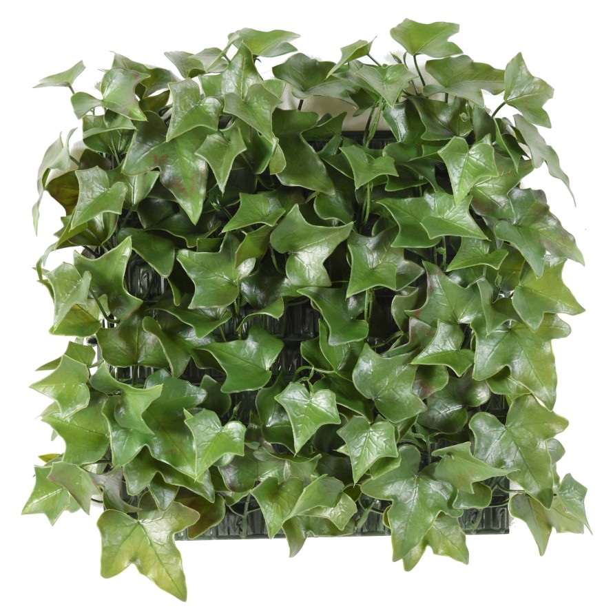 IVY UV PLATE