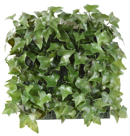 IVY UV PLATE