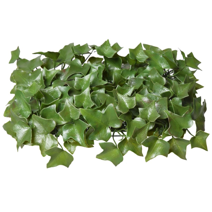 IVY UV PLATE