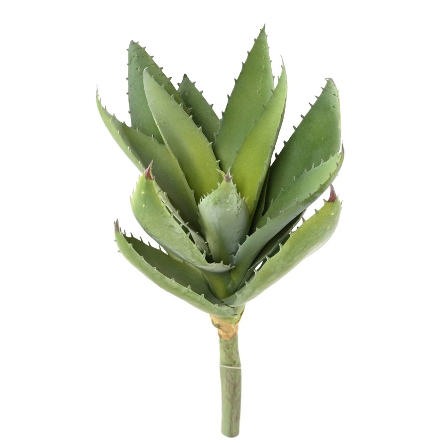 ALOEVERA 12