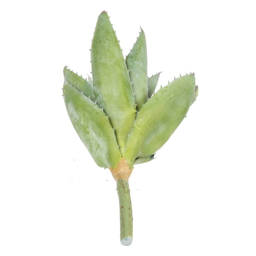 ALOEVERA 12