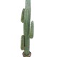 CACTUS MEXICO GR