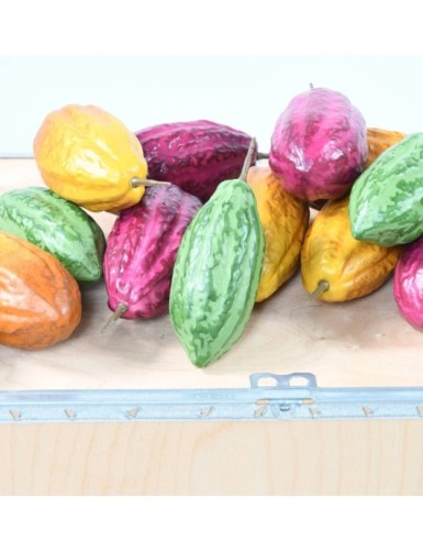CACAO FRUIT S
