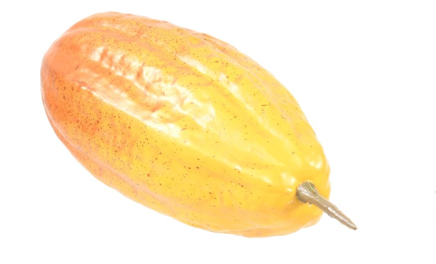 CACAO FRUIT L