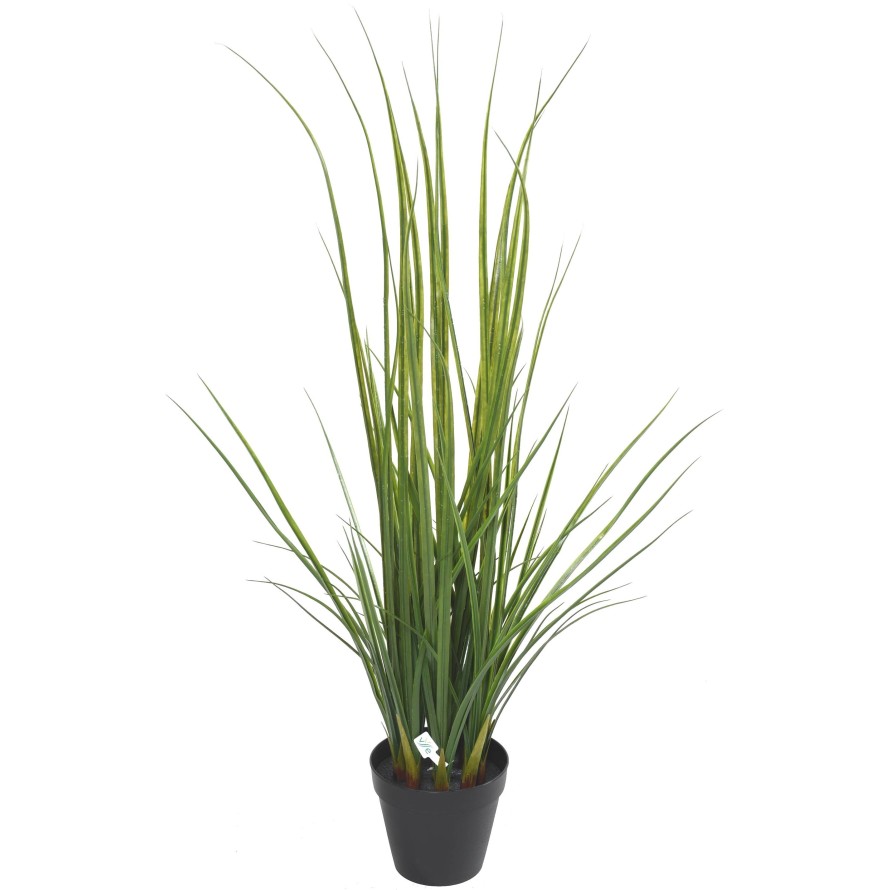 LEMON GRASS 120