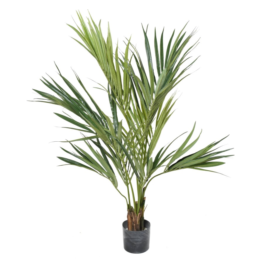 KENTIA PALM 130