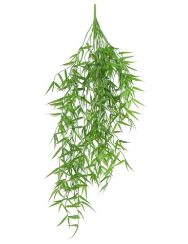 BAMBOO MINI HANGING BUSH