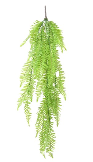 FERN LONG FALL