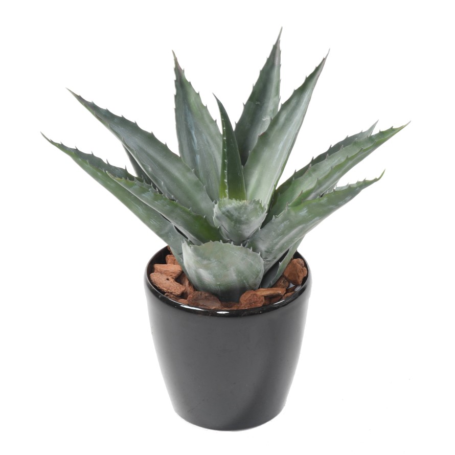 ARTIFICIAL AGAVE IN BOLL