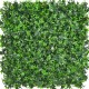 IVY VINE PLAQUE 50*50