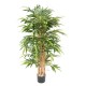 BAMBOU BUISSON ECO