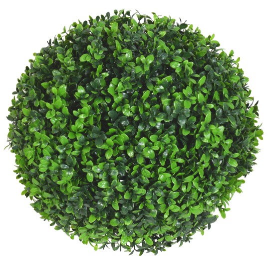 BOXWOOD BALL M