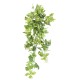 POTHOS MINI CHUTE 80