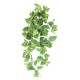 POTHOS MINI CHUTE