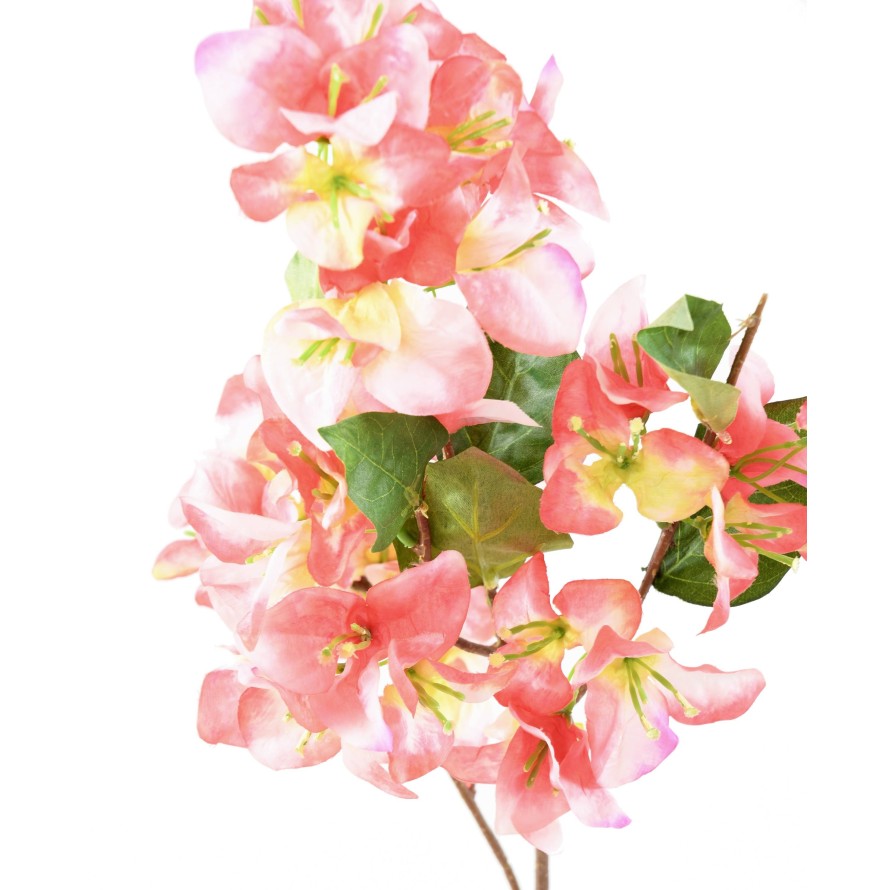 BOUGAINVILLEE SPRAY