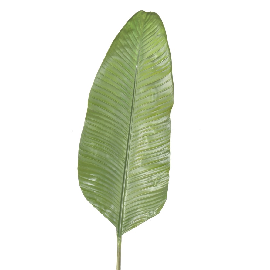 STRELITZIA LEAF 165