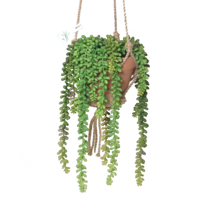 COMPOS CRASSULA MACRAME