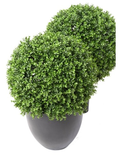 BOXWOOD BALL NEW REGULAR UV