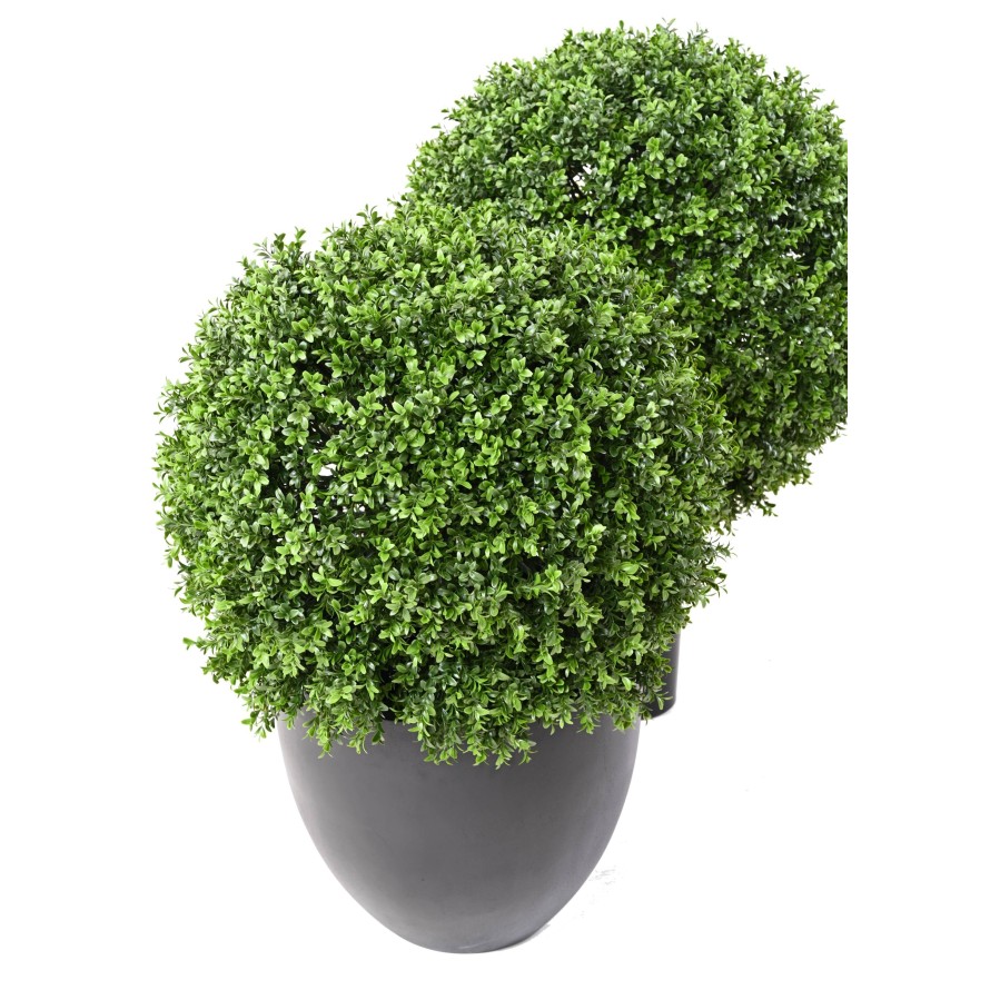 BOXWOOD BALL NEW REGULAR UV