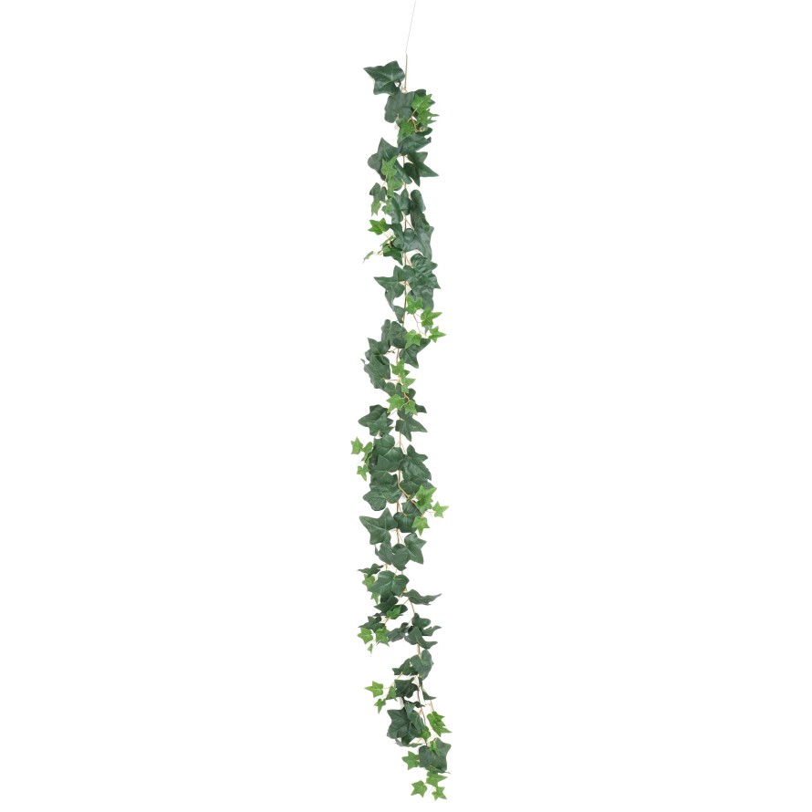 ENGLISH IVY GARLAND 190