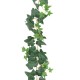 ENGLISH IVY GARLAND 190