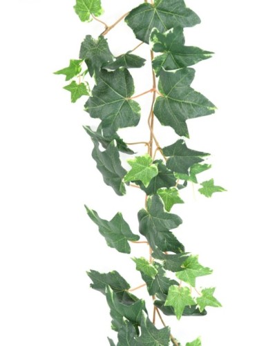 DUTCH IVY GARLAND 190